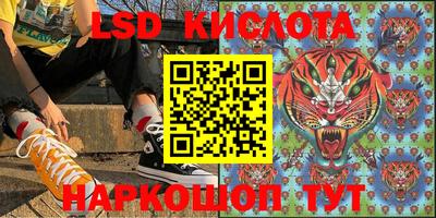 a pvp Новодвинск
