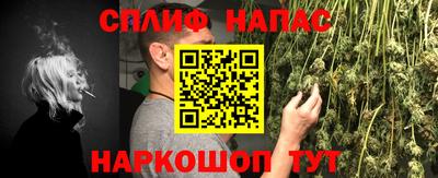 a pvp Новодвинск