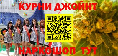 шишки Новокубанск
