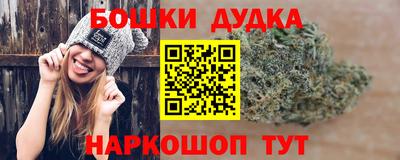 a pvp Новодвинск