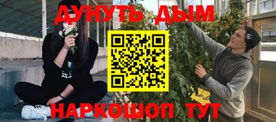 a pvp Новодвинск