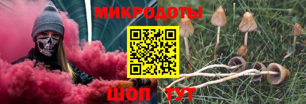 Галлюциногенные грибы Psilocybe  Вход с VPN  Сальск 